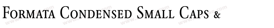 Formata Condensed Small Caps & Oldstyle Figures字体转换